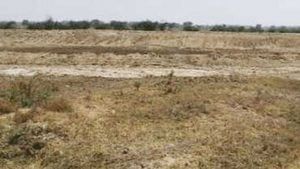 Junagadh: ગૌચરની જમીન પર ભૂમાફિયાનો કબજો, ગૌચરની જમીન ખુલ્લી કરાવવા લોકમાગ ઉઠી