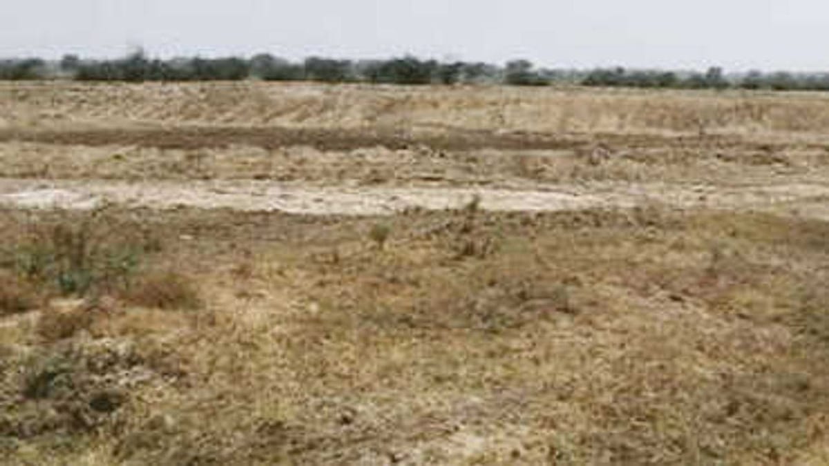 Junagadh: ગૌચરની જમીન પર ભૂમાફિયાનો કબજો, ગૌચરની જમીન ખુલ્લી કરાવવા લોકમાગ ઉઠી