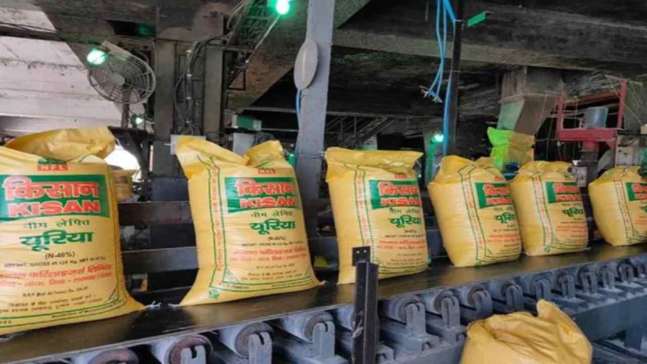 Urea DAP Price: દેશમાં ફરી એકવાર વધી શકે છે ખાતરનો ભાવ, પરંતુ ખેડૂતો પર બોજ નહીં પડવા દે સરકાર