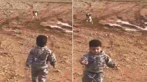 Funny Video: ટેણીયો નિડર થઈ કૂતરા પાસે જતો તો રહ્યો પછી ભાગવું ભારે પડ્યું, જુઓ વીડિયો