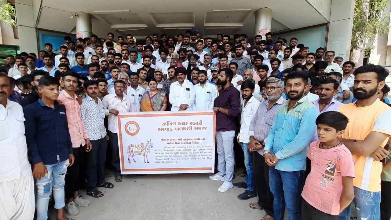 Kutch : ઢોર નિયંત્રણના નવા કાયદાનો પશુપાલકોએ રેલી યોજી વિરોધ કર્યો, કાયદો પરત લેવા આવેદનપત્ર પાઠવ્યું