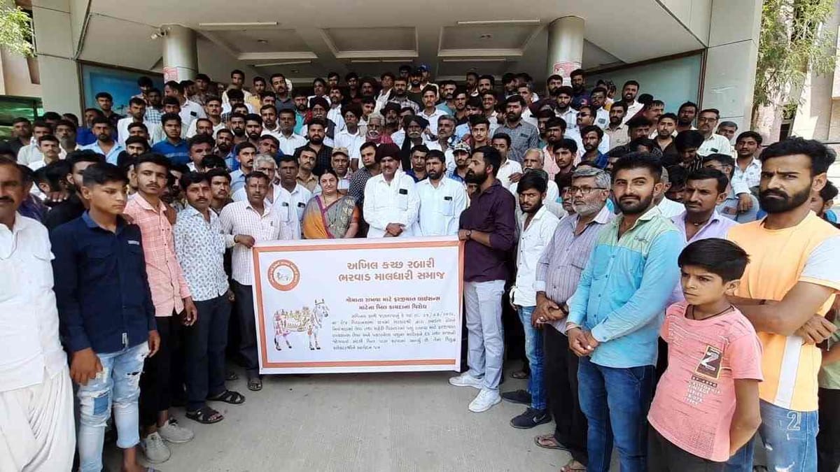 Kutch : ઢોર નિયંત્રણના નવા કાયદાનો પશુપાલકોએ રેલી યોજી વિરોધ કર્યો, કાયદો પરત લેવા આવેદનપત્ર પાઠવ્યું
