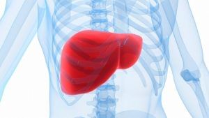 Liver Health Tips: દરરોજ ખાવામાં આવતી આ 5 વસ્તુઓ લીવર માટે છે હાનિકારક