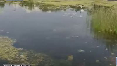 Vadodara: કમલાનગર તળાવમાં ગંદકીના ઢગલા, ઝાડી-ઝાંખરા અને લીલનું સામ્રાજ્ય, આસપાસના લોકો દુર્ગંધથી પરેશાન Vadodara: કમલાનગર તળાવમાં ગંદકીના ઢગલા, ઝાડી-ઝાંખરા અને લીલનું સામ્રાજ્ય, આસપાસના લોકો દુર્ગંધથી પરેશાન