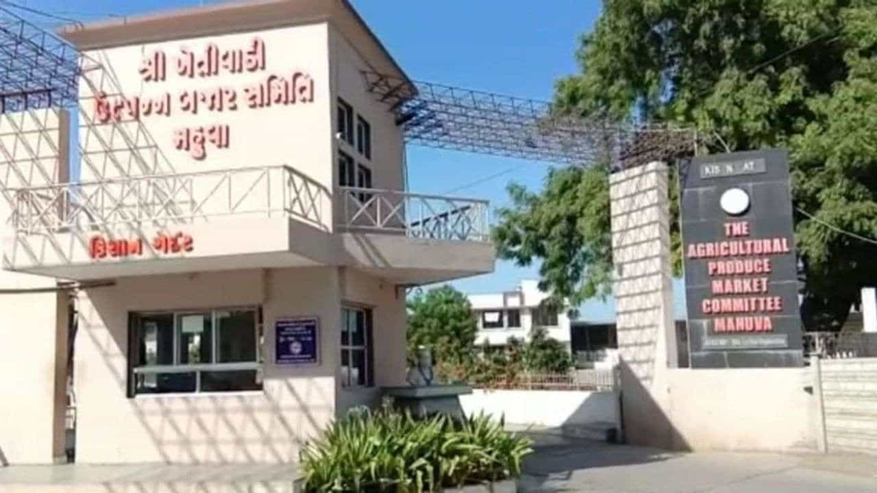 Bhavnagar: મહુવા માર્કેટ યાર્ડમાં ડુંગળીની અઢળક આવક પણ ભાવ તળિયે, ડુંગળીના પોષણક્ષમ ભાવ આપવા ખેડૂતોની માગણી