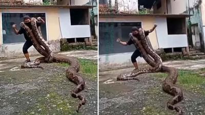 Shocking Video: બે મહાકાય અજગરને ખભા પર લઈને ડાન્સ ! Viral Video જોઈને તમે પણ ચોંકી જશો