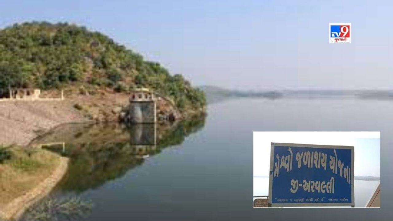 Arvalli: મેશ્વો નદીની ઉનાળામાં જીવંત કરાઈ, શામળાજી નજીક જળાશયમાંથી સુકી ભઠ્ઠ બનેલી નદીમાં પાણી છોડાયુ