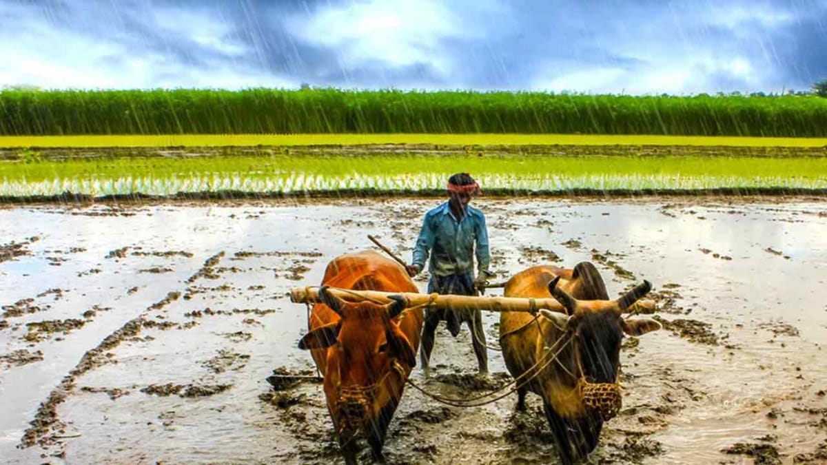 ખેડૂતો માટે ખુશખબર, આ વખતે ચોમાસુ સામાન્ય રહેવાનું અનુમાન, ખરીફ પાકનું થશે બમ્પર ઉત્પાદન
