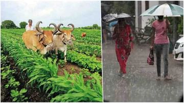 Monsoon 2022: ગ્રામીણ ભારતની ખેતીમાં ચોમાસાનું મહત્વ, જાણો આ વર્ષે ક્યારે થશે સિઝનનો પહેલો વરસાદ