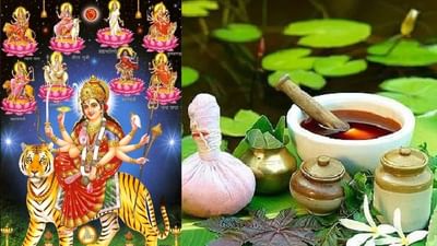Chaitra Navratri 2022: માર્કંડેય પુરાણમાં કહેવામાં આવ્યું છે આ ઔષધી છે નવદુર્ગા, દુશ્મનો જેવા રોગોનો કરે છે નાશ