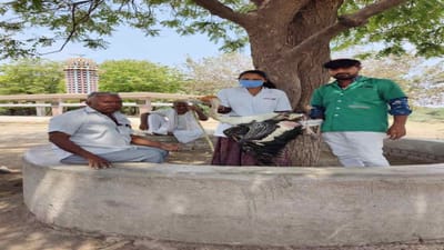 Jamnagar: યાયાવર પક્ષી પેઈન્ટેડ સ્ટોર્કને મળી પશુવાન 1962ની તાત્કાલિક સારવાર, જિલ્લામાં અત્યાર સુધીમાં 98 હજારથી વધુ પશુ-પક્ષીઓને અપાઈ સારવાર