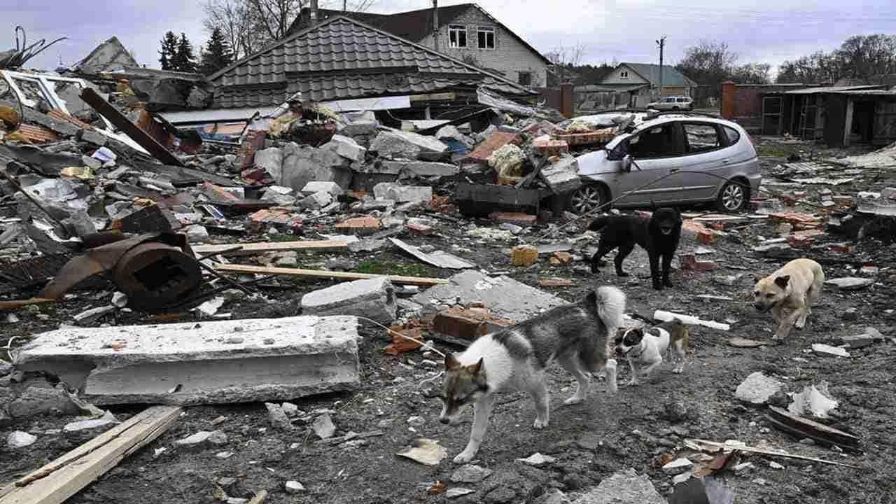 Russia-Ukraine War: રશિયા-યુક્રેન યુદ્ધમાં અત્યાર સુધીમાં 27 લાખથી વધુ લોકો અપંગ થયા, 19,800 રશિયન સૈનિકો પણ માર્યા ગયા