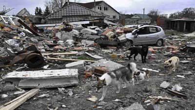 Russia-Ukraine War: રશિયા-યુક્રેન યુદ્ધમાં અત્યાર સુધીમાં 27 લાખથી વધુ લોકો અપંગ થયા, 19,800 રશિયન સૈનિકો પણ માર્યા ગયા