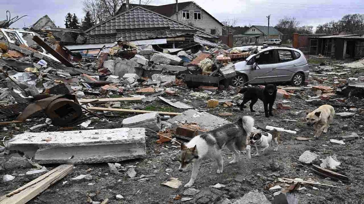 Russia-Ukraine War: રશિયા-યુક્રેન યુદ્ધમાં અત્યાર સુધીમાં 27 લાખથી વધુ લોકો અપંગ થયા, 19,800 રશિયન સૈનિકો પણ માર્યા ગયા