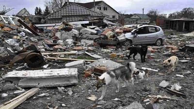 Russia-Ukraine War: રશિયા-યુક્રેન યુદ્ધમાં અત્યાર સુધીમાં 27 લાખથી વધુ લોકો અપંગ થયા, 19,800 રશિયન સૈનિકો પણ માર્યા ગયા