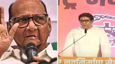 Maharashtra: શરદ પવારે રાજ ઠાકરે પર કર્યા પ્રહાર, કહ્યું- તેઓ ભાજપની ભાષા બોલે છે, તેમને ગંભીરતાથી લેવાની જરૂર નથી