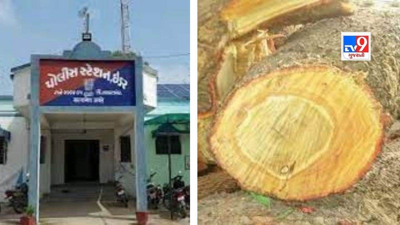 Sabarkantha: ઈડર વિસ્તારમાં ચંદનના વૃક્ષોની ચોરી થતા ફરીયાદ, 2 સ્થળો પર તસ્કરો ત્રાટક્યા