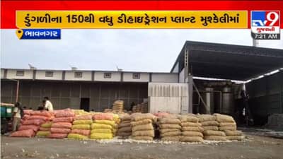 Bhavnagar: મહુવામાં ડુંગળીના 150થી વધુ ડિહાઇડ્રેશન પ્લાન્ટ બંધ થાય તેવી સ્થિતિ, જાણો શું છે કારણ