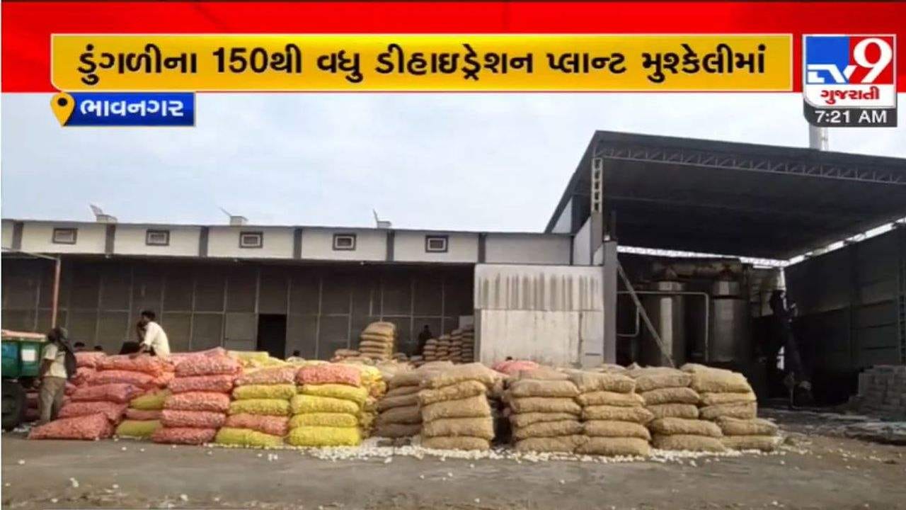 Bhavnagar: મહુવામાં ડુંગળીના 150થી વધુ ડિહાઇડ્રેશન પ્લાન્ટ બંધ થાય તેવી સ્થિતિ, જાણો શું છે કારણ