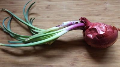 Kitchen Tips: લાંબા સમયથી ડુંગળી પડી રહેવાથી અંકુરિત થઈ ગઈ હોય તો તેને ફેંકવાને બદલે ખાવામાં કરો ઉપયોગ, થશે આ ફાયદા