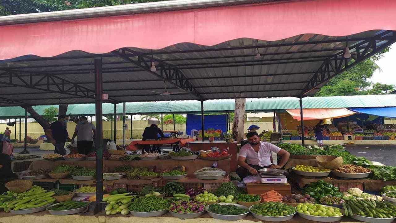 Surat : ચાર વખતના નિષ્ફળ પ્રયાસો બાદ ફરી ચૌટાપુલ સહિત ત્રણ શાક માર્કેટમાં સ્ટોલ ફાળવણી કરાશે, વિક્રેતાઓની નિરસતા