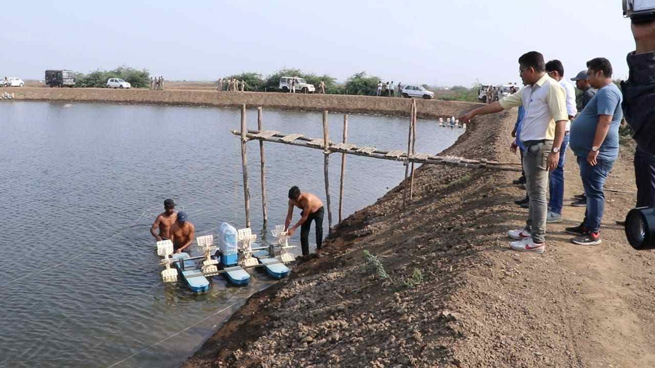 સુરતના ડુમસના કાંઠા પટ્ટીના ગામોમાં ઝીંગા ઉછેરી રહેલા ઉછેરકોએ હાઈકોર્ટના આદેશની કરી અવગણના, જિલ્લા કલેકટરના આદેશથી તપાસ હાથ ધરાઈ