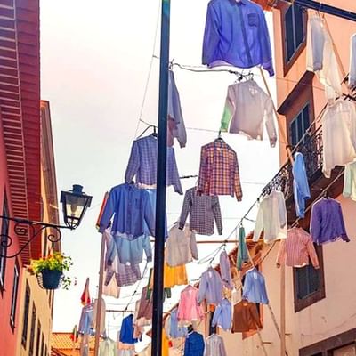 આપણા રોજિંદા જીવનમાં ઘણી બધી વસ્તુઓ સામાન્ય હોય છે. જેનો આપણે દરરોજ ઉપયોગ કરીએ છીએ, પરંતુ તેના પર વધુ ધ્યાન આપતા નથી. હવે તમારું શર્ટ જ લો. તમે દરરોજ આ પહેરશો! શાળા, કૉલેજ કે ઑફિસમાં જતી વખતે તમે ઇસ્ત્રી કરેલું શર્ટ કાઢીને તેને પહેરીને બહાર નીકળો છો. તમે તેના વિશે બહુ વિચારતા નથી. પાછા ફર્યા પછી તમે તેને હેંગરમાં લટકાવી દેશો, પરંતુ જો હેન્ગર ન હોત તો તમે શું કરશો?
