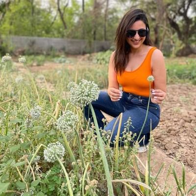 Parineeti Chopra in Farm: બોલિવૂડ અભિનેત્રી પરિણીતી ચોપરાની (Parineeti Chopra) લેટેસ્ટ તસવીરો જેણે પણ જોઈ છે તે તેના વખાણ કરતા થાકતા નથી. અભિનેત્રી ગ્લેમરસ લાઈફ છોડીને પિતાના ફાર્મ હાઉસ પહોંચી ગઈ હતી. જ્યાં અભિનેત્રીએ શાકભાજીની ઘણી તસવીરો શેયર કરી છે. જુઓ પરિણીતી ચોપરાએ ફોર્મમાં પહોંચ્યા પછી શું કર્યું.