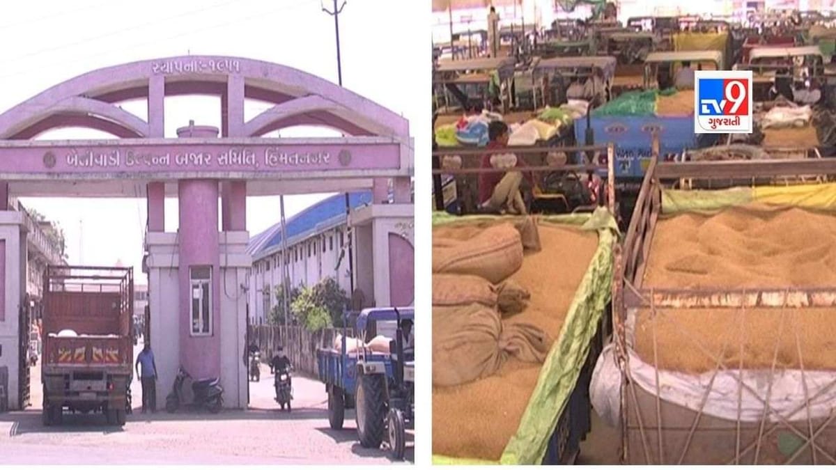 Sabarkantha, Arvalli: યુદ્ધને લઈ ઘઉંના ઉંચા દામ! હિંમતનગરના બજારમાં 700 રુપિયાથી વધુ ભાવ બોલાયો, ખેડૂતો ખુશ