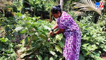 Success Story: અહીં વસે છે આદિવાસી મહિલા ખેડૂતોની એક અલગ દુનિયા, શું તમે જાણો છો?