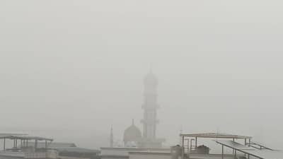 ભરૂચ વહેલી સવારે ગાઢ ધુમ્મ્સ તળે ઢંકાયું, વિઝિબ્લિટીમાં ઘટાડો થવાથી વાહનવ્યવહાર પ્રભાવિત, જુઓ વિડીયો