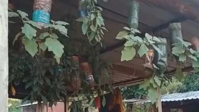 ખેતર ન મળ્યું તો બોટલમાં કરી રીંગણાની ખેતી, મહારાષ્ટ્રના આ ખેડૂતની થઈ રહી છે ચારે બાજુ ચર્ચા