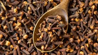 Clove Benefits: જાણો લવિંગના જબરદસ્ત ફાયદા અને તેના વધુ પડતા સેવનના નુકશાન વિશે