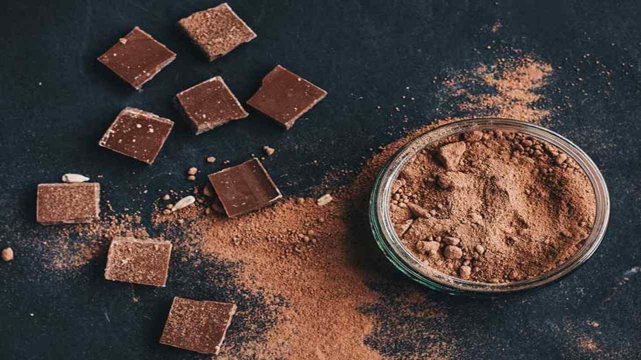 Coco Powder : ચોકલેટ બનાવવા માટે વપરાતા કોકો પાઉડરના છે અનેક સ્વાસ્થ્ય લાભો