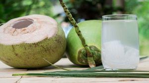 Coconut Water : નારિયેળનું ઠંડુ ઠંડુ પાણી પીવાથી મળશે આ Health Benefits
