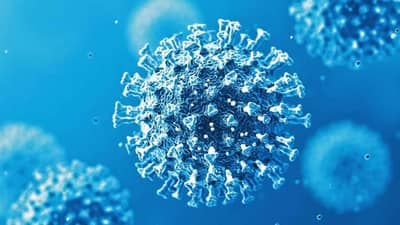 Corona Latest Update: 505 દિવસ સુધી કોવીડ પોઝીટીવ રહેનારા વ્યક્તિની એ વાત કે જેના તમામ 45 ટેસ્ટ પોઝીટીવ આવ્યા હતા