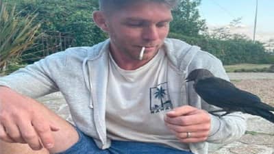 Viral News: વ્યક્તિ પાસેથી સિગારેટ છીનવીને પીતો હતો કાગડો, સ્મોકિંગને લીધે મૃત્યુ પામ્યો?