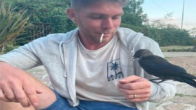 Viral News: વ્યક્તિ પાસેથી સિગારેટ છીનવીને પીતો હતો કાગડો, સ્મોકિંગને લીધે મૃત્યુ પામ્યો?