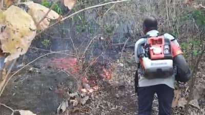 Dang: જંગલને બચાવવાનો જુસ્સો, સૂર્યનો તાપ અને આગમી ગરમી વચ્ચે સતત 3 થી 4 કલાકની મહેનત કરીને દાવાનળને કાબુમાં કર્યો