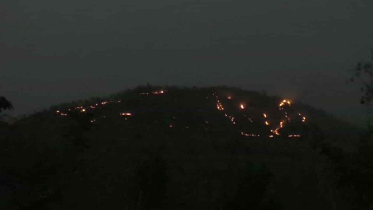 ડાંગ જિલ્લાના વઘઇ રેન્જ ફોરેસ્ટ વિસ્તારમાં વઘઇ આહવા મુખ્ય માર્ગ નજીક આગ લાગી