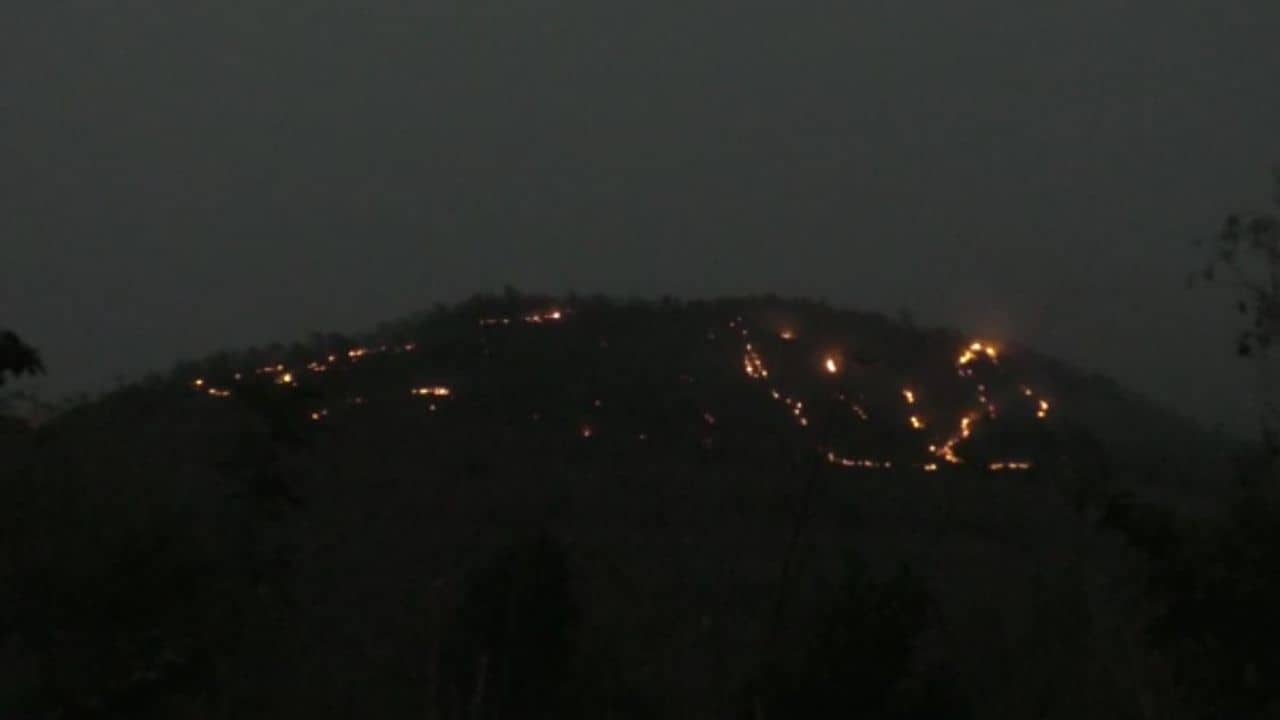 ડાંગ જિલ્લાના વઘઇ રેન્જ ફોરેસ્ટ વિસ્તારમાં વઘઇ આહવા મુખ્ય માર્ગ નજીક આગ લાગી