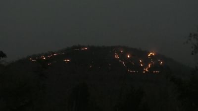 ડાંગ જિલ્લાના વઘઇ રેન્જ ફોરેસ્ટ વિસ્તારમાં વઘઇ આહવા મુખ્ય માર્ગ નજીક આગ લાગી