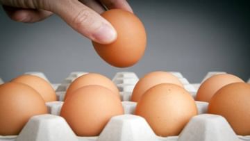 Eggs Disadvantages : વધારે ઈંડા ખાવાનો શોખ હોય તો એકવાર આ નુકશાન પણ વાંચી લેજો