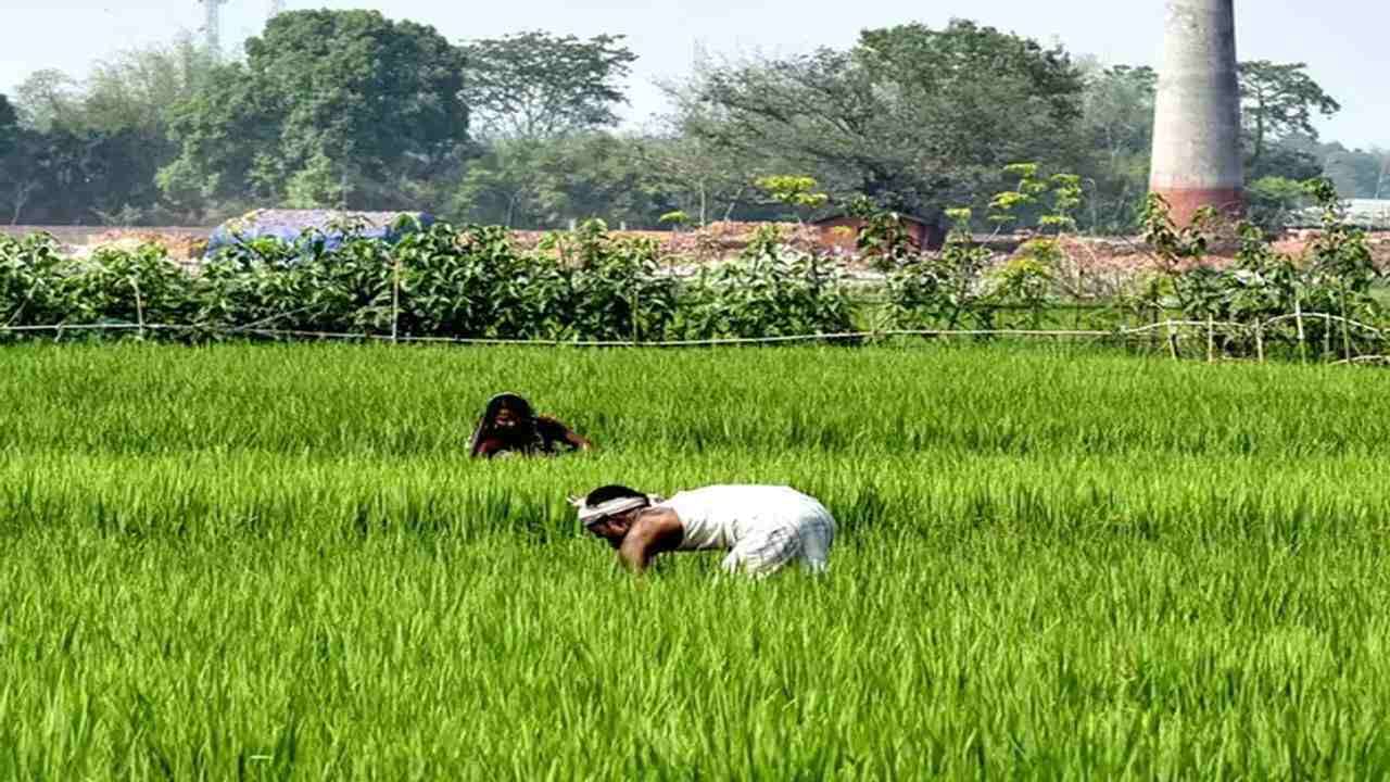 PM Kisan Scheme : પીએમ કિસાન યોજનાનો હપ્તો મળશે કે નહીં, આ રીતે કરો ચેક