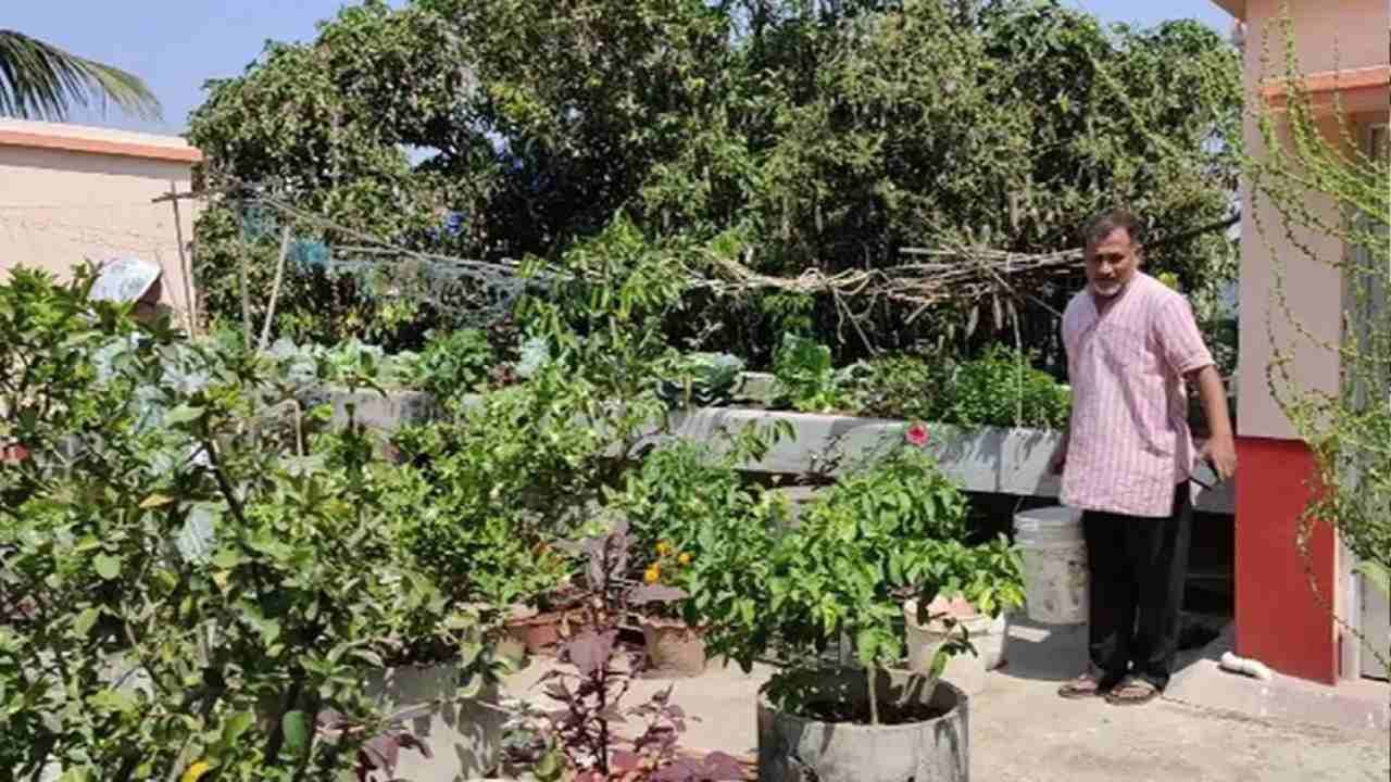 Success Story : આફતમાં અવસર શોધી પ્રોફેસરે છત પર શરૂ કરી જૈવિક ખેતી, ઉગાડી રહ્યા છે ફળ અને શાકભાજી