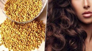 Hair Care : વાળને પોષણ આપવા મેથીના દાણાનો કેવી રીતે કરશો ઉપયોગ ?