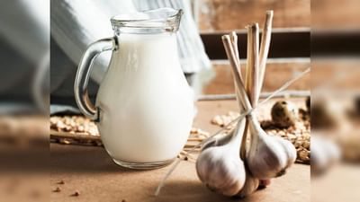 લસણનું દૂધ : એલર્જીમાં અસરકારક અને ડાયાબિટીસમાં ફાયદાકારક, અજમાવવા જેવું