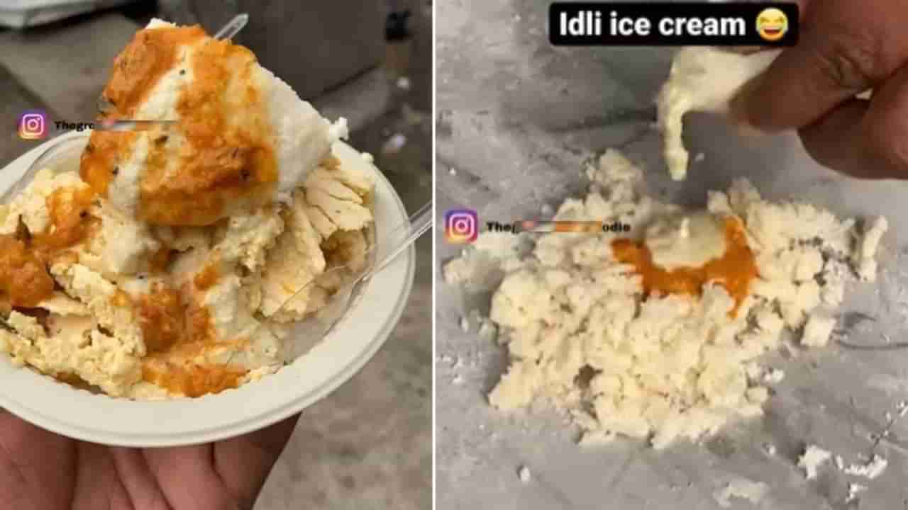 Weird Food : દિલ્હીના એક વ્યક્તિએ આવી વસ્તુથી બનાવી Ice-cream, વીડિયો જોઈને લોકોએ કહ્યું- થોડીક શરમ કરો