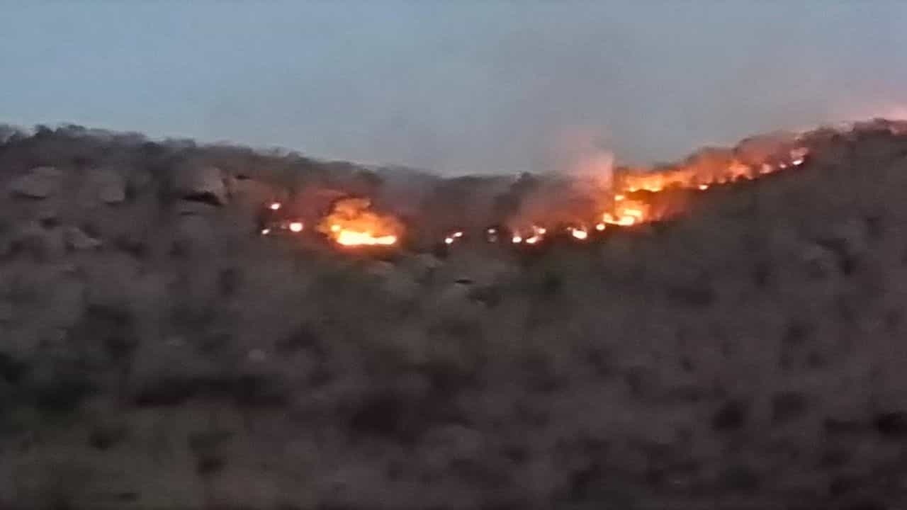 Banaskantha: દાંતાના પહાડી વિસ્તારમાં ગઈકાલે લાગેલી આગ હજુ પણ યથાવત, આગ પર કાબૂ મેળવવા બે ટીમો કામે લાગી