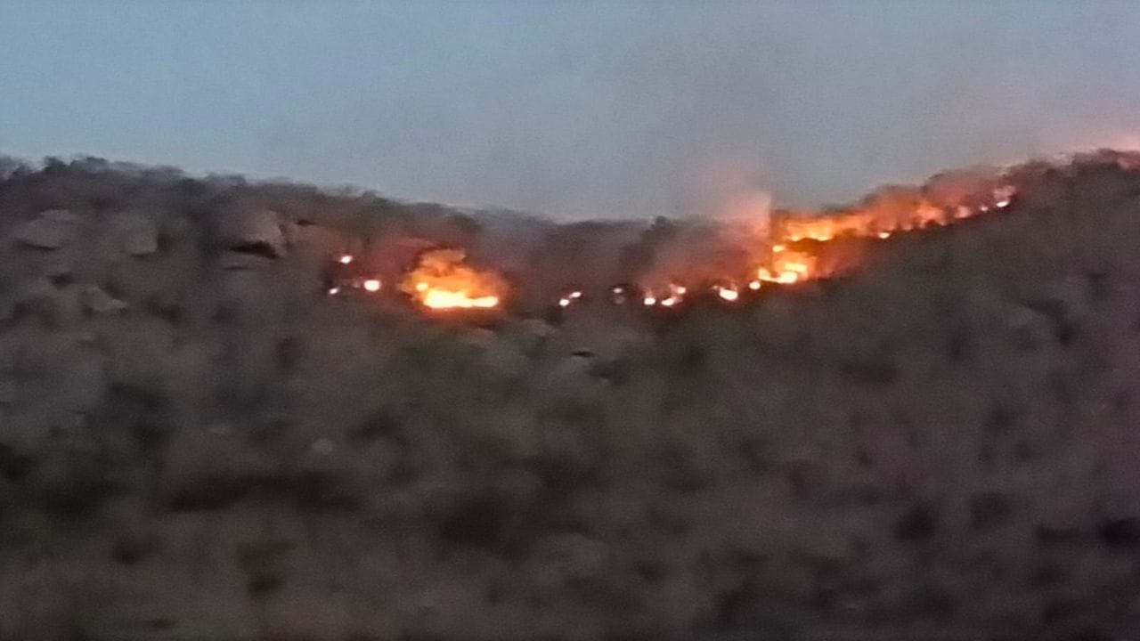 Banaskantha: દાંતાના પહાડી વિસ્તારમાં ગઈકાલે લાગેલી આગ હજુ પણ યથાવત, આગ પર કાબૂ મેળવવા બે ટીમો કામે લાગી Banaskantha: દાંતાના પહાડી વિસ્તારમાં ગઈકાલે લાગેલી આગ હજુ પણ યથાવત, આગ પર કાબૂ મેળવવા બે ટીમો કામે લાગી